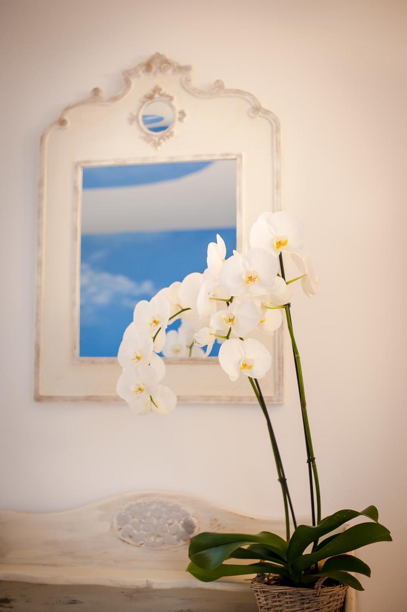 Les 4 Elements Bed and Breakfast Tourrettes-sur-Loup Kamer foto